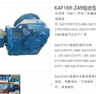 KAF169-Z49-LEN132SR7P-180减速电机型号解析